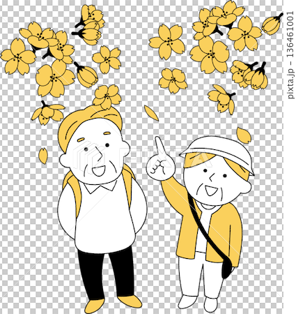 Elderly people walking among cherry blossoms 136461001