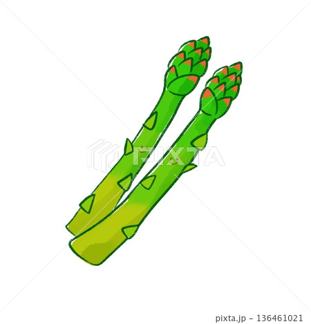 にっこりみどり野菜｜アスパラガス(緑線画 136461021
