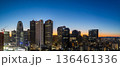 東京・新宿副都心のビル群の夜景 136461336