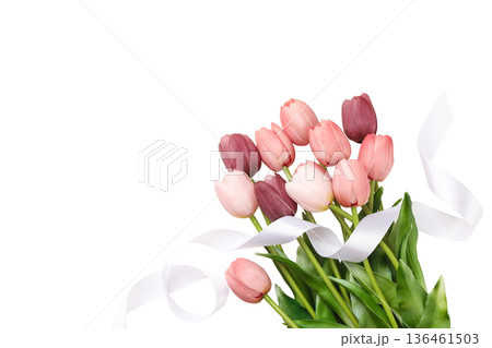 Spring tulips in soft colors for 8 March celebration, isolated, PNG 136461503