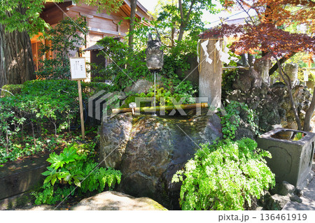 松戸神社 龍神さまと御神水(千葉県松戸市) 松戸神社 龍神さまと御神水(千葉県松戸市) 136461919