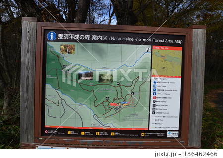 那須平成の森　2025-11-2　＃2 136462466