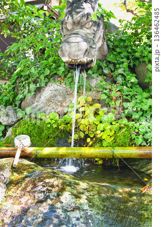 松戸神社 龍神さまと御神水(千葉県松戸市) 松戸神社 龍神さまと御神水(千葉県松戸市) 136462485