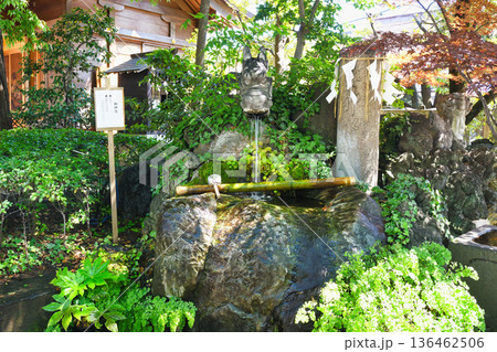 松戸神社 龍神さまと御神水(千葉県松戸市) 松戸神社 龍神さまと御神水(千葉県松戸市) 136462506