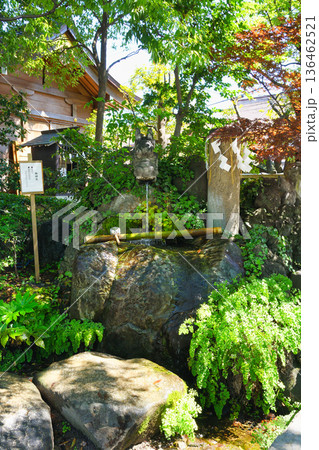 松戸神社 龍神さまと御神水(千葉県松戸市) 松戸神社 龍神さまと御神水(千葉県松戸市) 136462521