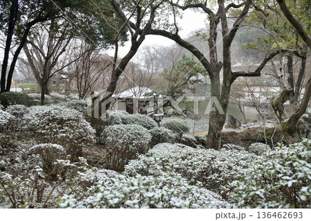 紅葉渓庭園(和歌山城西之丸庭園) 【和歌山県和歌山市】 136462693