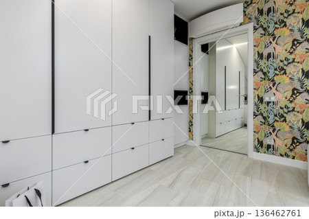 Modern Built-in Storage with Full Length Mirror Door Modern Built-in Storage with Full Length Mirror Door 136462761