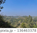 Panoramic View of Rolling Green Hills and Forest Under a Clear Blue Sky 136463378