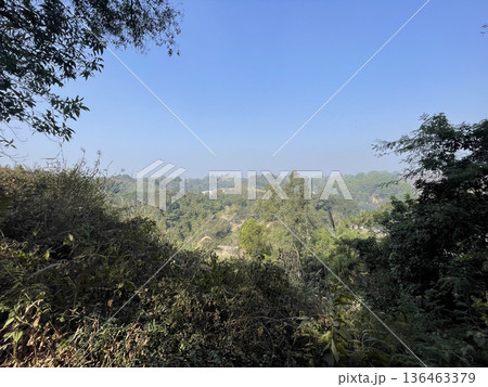 Lush Green Rolling Hills and Forest Under a Clear Blue Sky Lush Green Rolling Hills and Forest Under a Clear Blue Sky 136463379