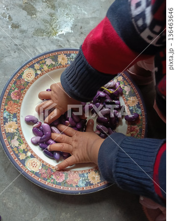 Toddler playing with colorful purple Scarlet Runner beans on a floral plate for sensory development 136463646