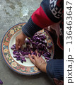 Toddler Hands Engaging in Sensory Play with Vibrant Purple Runner Beans on Floral Plate 136463647
