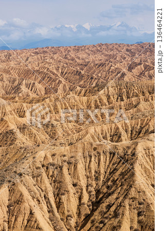 Aksai Canyon landscape with unique eroded clay and sandstone formations. Stunning natural desert geography with snow-capped mountains distant background. 136464221