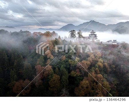 朝霧に包まれる錦秋の郡上八幡城を空撮 136464296