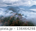 朝霧に包まれる錦秋の郡上八幡城を空撮 朝霧に包まれる錦秋の郡上八幡城を空撮 136464298