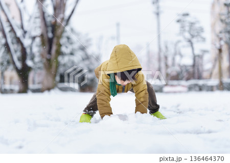 雪の公園で遊ぶ6歳の男の子 136464370