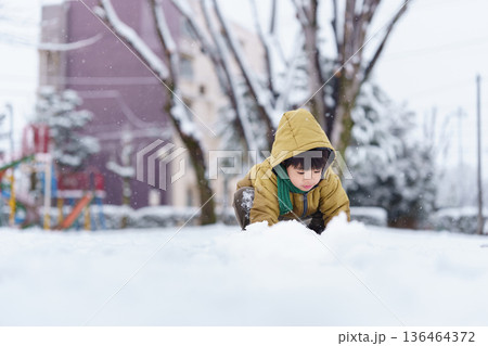 雪の公園で遊ぶ6歳の男の子 136464372