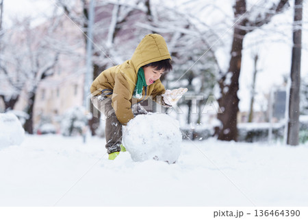 雪の公園で遊ぶ6歳の男の子 雪の公園で遊ぶ6歳の男の子 136464390