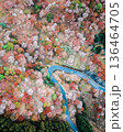 吉野山上千本をドローン空撮 吉野山上千本をドローン空撮 136464705