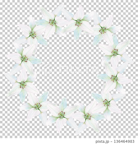 Watercolor wreath of white lilies with green leaves, delicate floral frame isolated on black background, hand painted botanical illustration for wedding invitations, Easter decor and greeting cards 136464983