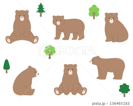 かわいいくまのベクターイラストセット。熊、動物 かわいいくまのベクターイラストセット。熊、動物 136465183