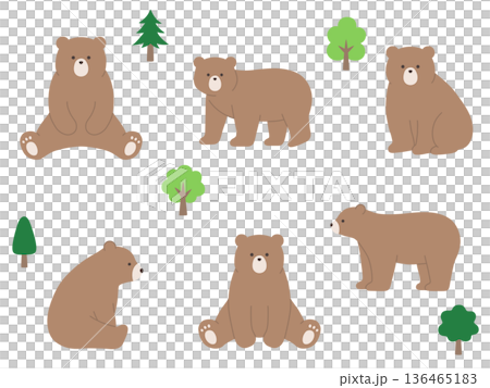かわいいくまのベクターイラストセット。熊、動物 かわいいくまのベクターイラストセット。熊、動物 136465183