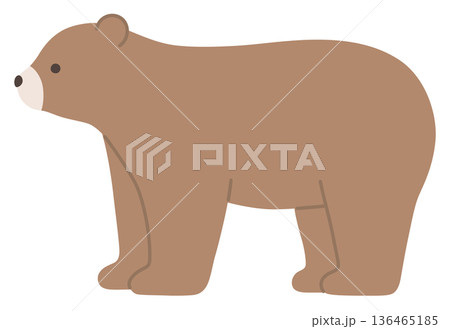 かわいいくまのベクターイラスト。熊、歩く 136465185