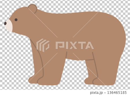 可愛的熊的向量插圖。熊,行走 可愛的熊的向量插圖。熊,行走 136465185
