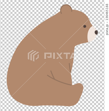 可愛的熊的向量插圖。熊，坐著。 136465188