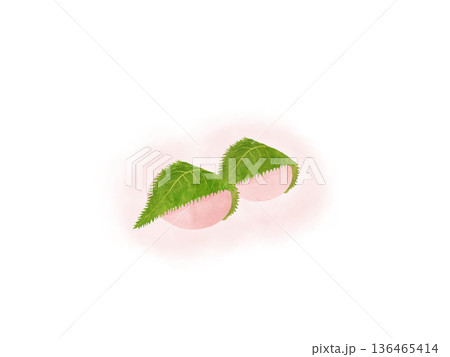 関西風の桜餅（道明寺）二つと舞い散る桜の花びら・和菓子・春のスイーツ・水彩イラスト素材 136465414