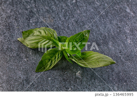Green fresh aroma basil leaves 136465995