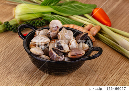 Raw fresh wild clams mollusc 136466027