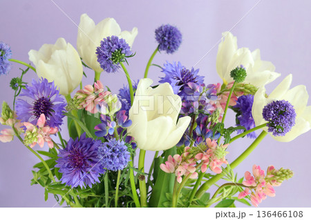 チューリップと草花のアレンジメント チューリップと草花のアレンジメント 136466108