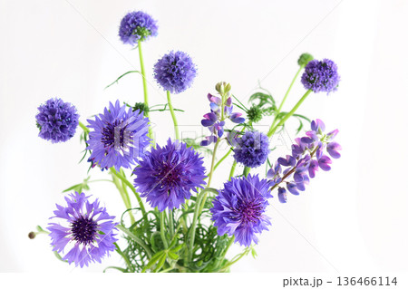 青い草花のアレンジメント 136466114