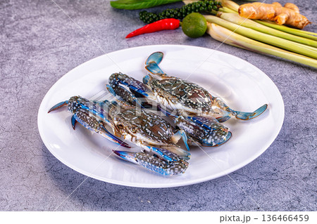 Raw wild blue crabs for cooking Raw wild blue crabs for cooking 136466459