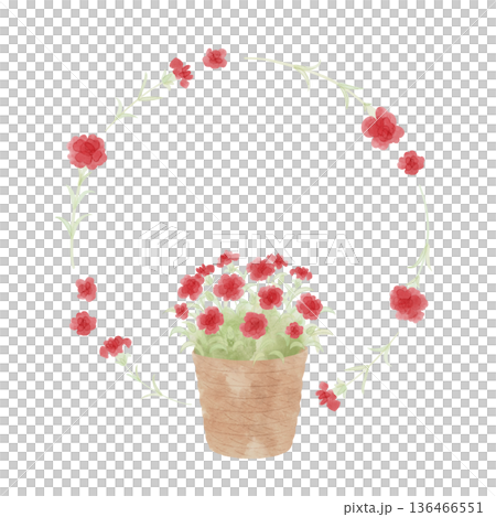 紅色康乃馨花環水彩風格 136466551