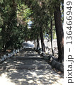 寺の参道 136466949