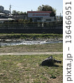 河川 136466951