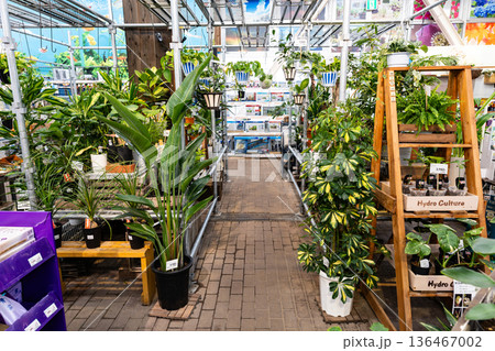ユニディ狛江店 1階屋内の観葉植物売場 東京都狛江市和泉本町 ユニディ狛江店 1階屋内の観葉植物売場 東京都狛江市和泉本町 136467002