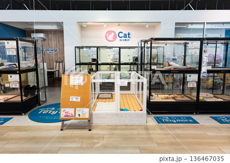ユニディ狛江店 ペット関連ショップ Pety more 東京都狛江市和泉本町 ユニディ狛江店 ペット関連ショップ Pety more 東京都狛江市和泉本町 136467035