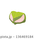 桜餅のイラスト 136469184