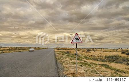 The sign of a camel. On the edge of the road crossing the Karakum desert in Turkmenistan. The sign of a camel. On the edge of the road crossing the Karakum desert in Turkmenistan. 136469187