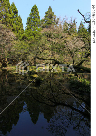 山吹水源 山吹水源 136469344