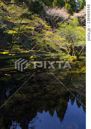 山吹水源 山吹水源 136469348