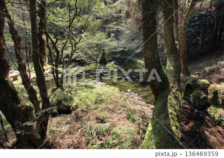 山吹水源 山吹水源 136469359