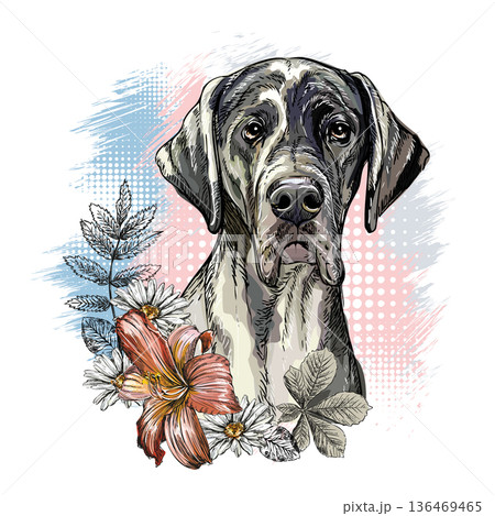 Great Dane Dog with flowers hand drawing vector illustration Great Dane Dog with flowers hand drawing vector illustration 136469465