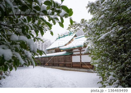 雪の笠間市 出雲大社 雪の笠間市 出雲大社 136469499