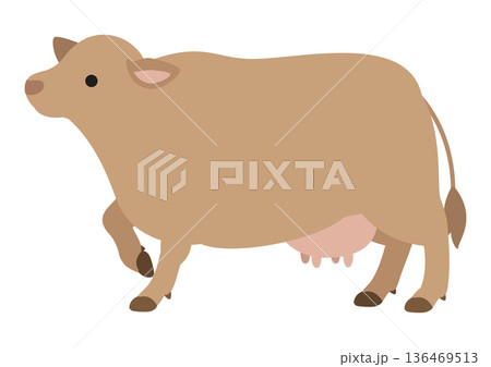 ジャージー牛 片足を上げて立つポーズのかわいいベクターイラスト 136469513