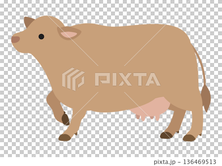 ジャージー牛 片足を上げて立つポーズのかわいいベクターイラスト 136469513
