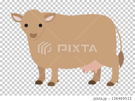 Jersey cow Cute vector illustration of a standing pose facing forward 136469515