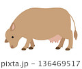 ジャージー牛 草を食べるポーズのかわいいベクターイラスト 136469517